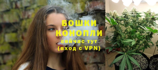 мдпв Зеленодольск