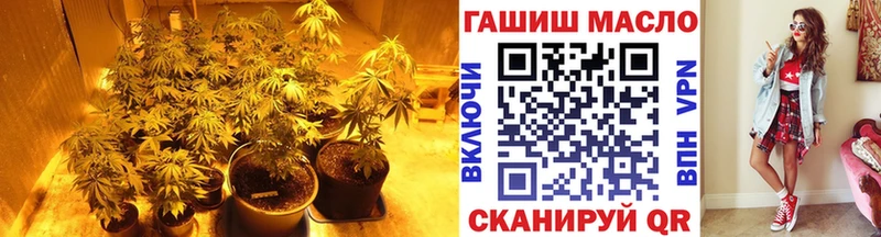 Купить закладки  Лаишево  Дистиллят ТГК THC oil 