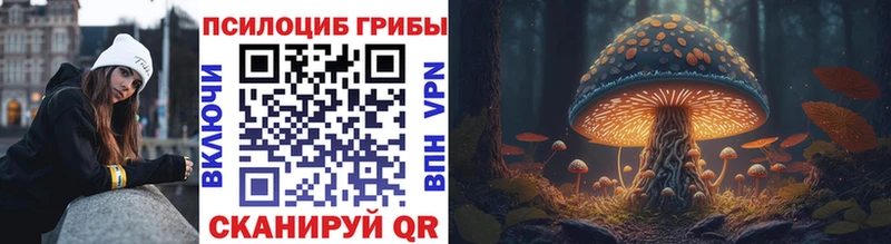 Купить где  Лаишево  Псилоцибиновые грибы мицелий 